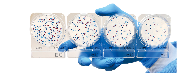 新成员CompactDry微生物测试片上线！