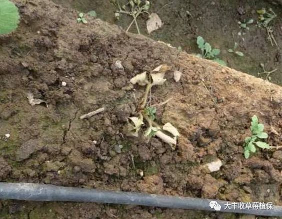 640?wx_fmt=png&tp=webp&wxfrom=5&wx_lazy=1