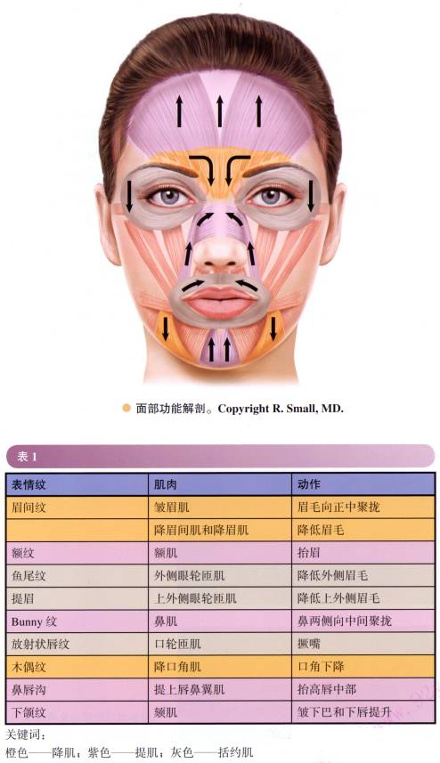 注射肉毒素的关键是什么?教你正确认识肉毒素