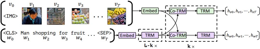 BERT新轉變：面向視覺基礎進行預訓練| NeurIPS 2019論文解讀