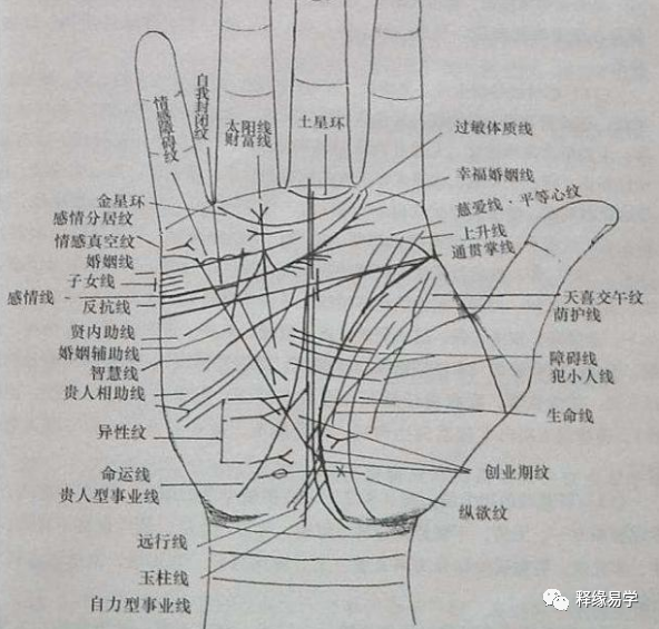 手相：掌纹很乱及化解方法！