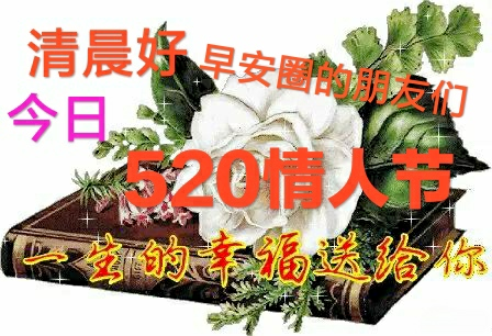 5月日情人节清晨早上好问候祝福动态表情图片5情人节最新早安问候祝福图片带字温馨 早上好表情动态 微信公众号文章阅读