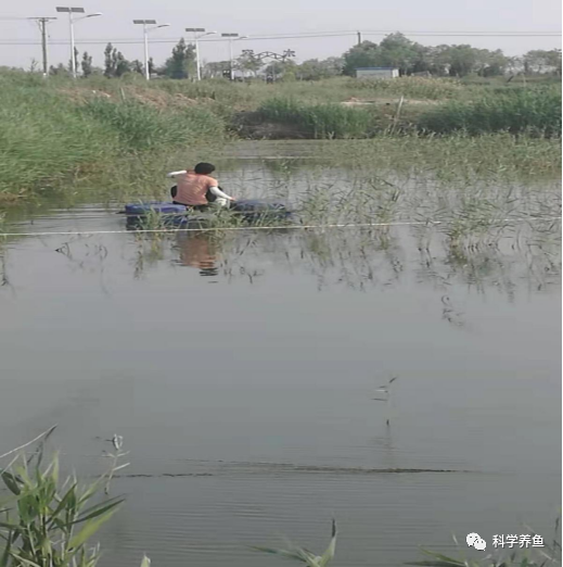 视频的经验_优质的视频内容_15天优质经验分享视频