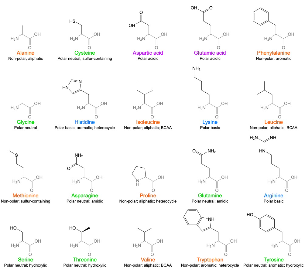 asn是什么氨基酸_asn-206多用途无人驾驶飞机_asn是什么氨基酸