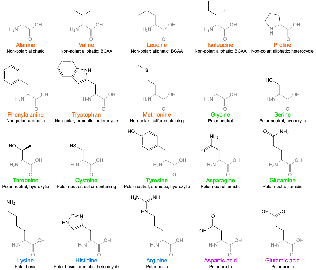 asn是什么氨基酸_asn是什么氨基酸_asn-206多用途无人驾驶飞机