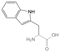 asn是什么氨基酸_asn-206多用途无人驾驶飞机_asn是什么氨基酸