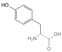 asn是什么氨基酸_asn-206多用途无人驾驶飞机_asn是什么氨基酸