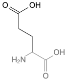 asn是什么氨基酸_asn是什么氨基酸_asn-206多用途无人驾驶飞机