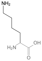 asn是什么氨基酸_asn是什么氨基酸_asn-206多用途无人驾驶飞机