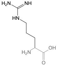 asn是什么氨基酸_asn是什么氨基酸_asn-206多用途无人驾驶飞机
