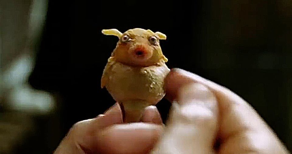 深度解读丨2018年十大突破性技术榜单发布，未来是这样的……