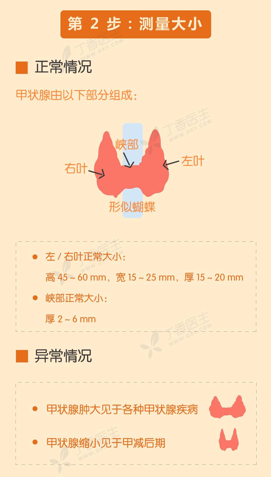 一張圖讓你讀懂甲狀腺彩超