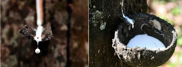 乳胶凉席凉快嘛_乳胶凉席好吗?能凉快吗?_乳胶凉席到底凉不凉