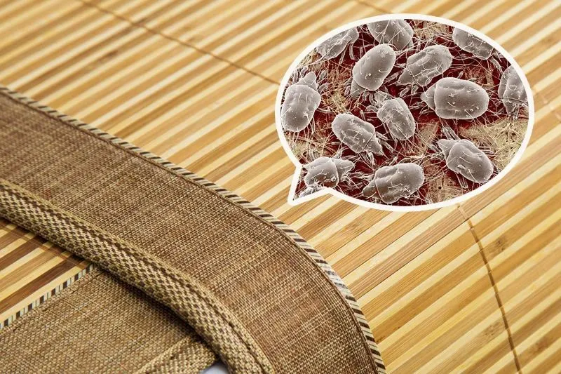 乳胶凉席凉快嘛_乳胶凉席到底凉不凉_乳胶凉席好吗?能凉快吗?