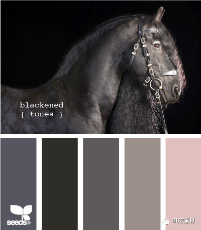 颜色大全色卡图片_头发颜色大全色卡图片_颜色大全色卡图片