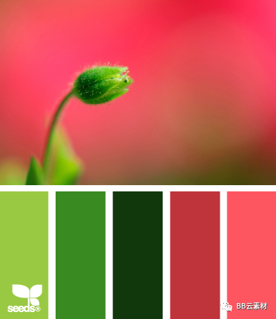 颜色大全色卡图片_颜色大全色卡图片_头发颜色大全色卡图片