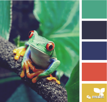 颜色大全色卡图片_头发颜色大全色卡图片_颜色大全色卡图片