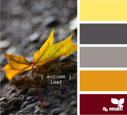 颜色大全色卡图片_头发颜色大全色卡图片_颜色大全色卡图片