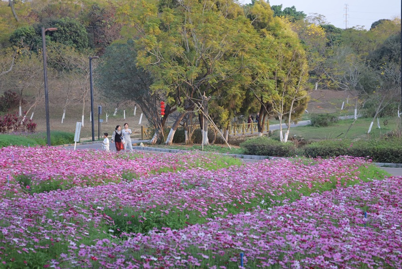 图/增城区融媒体中心