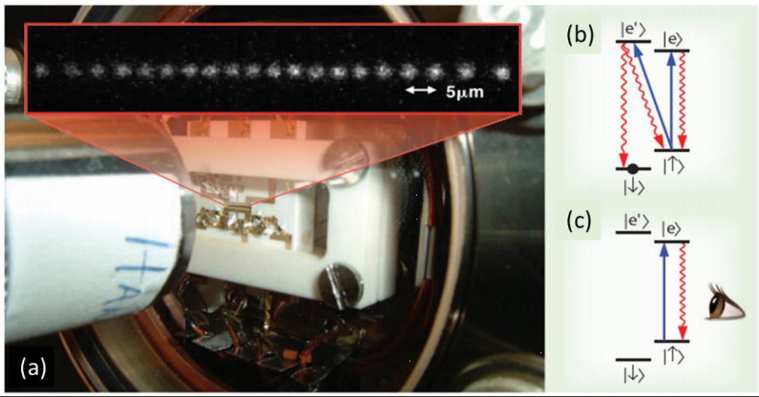 640?wx_fmt=png&from=appmsg