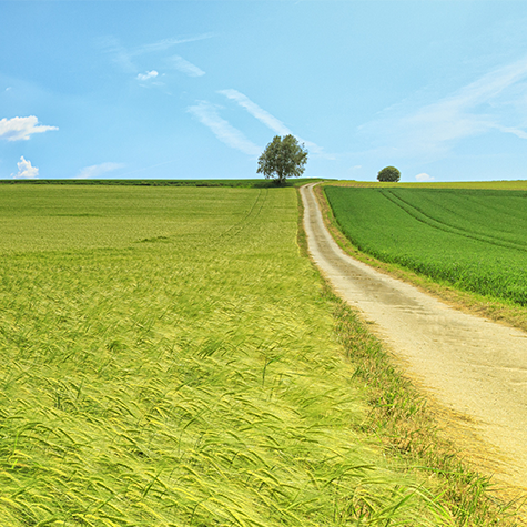 为什么一次性压脉带爱心联动，感恩有您_https://www.jmylbn.com_新闻资讯_第7张