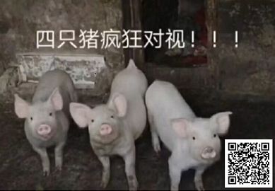 深度学习基础-实战Kaggle比赛：房价预测