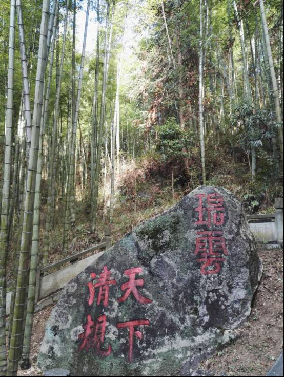 【禅溪】 百丈家风