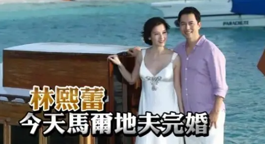 裙下之臣无数被封豪门收割机？摘掉“脱星”标签，高学历性感女神回归家庭？（组图） - 30