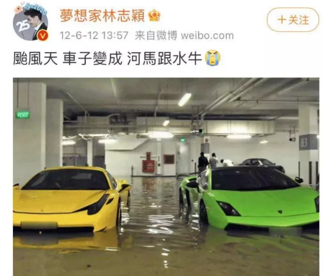 林志颖为生儿子屡次“接男宝”，卖假药盗图一条龙，昔日顶流沦为“法制咖”？（组图） - 37