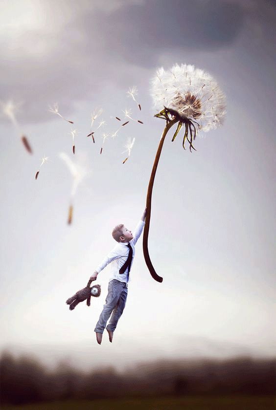 “最强大脑”选手揭秘：“天才”的背后不是智商，而是数学思维