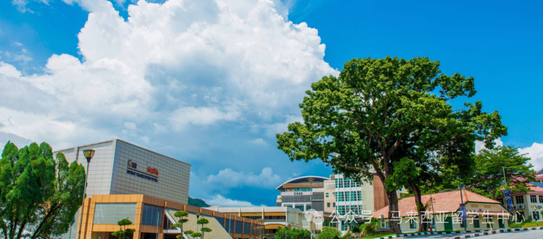 640 - 2025-05-28T163757.819.png