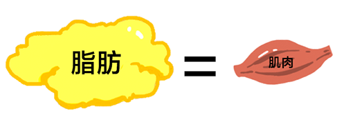 皮脂厚度计怎么用体脂率保持在12%究竟是一种怎样的体验？_https://www.jmylbn.com_新闻资讯_第3张