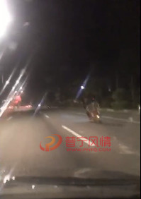 普宁|普宁一男子开摩托全程蛇型走位，简直视生命如粪土