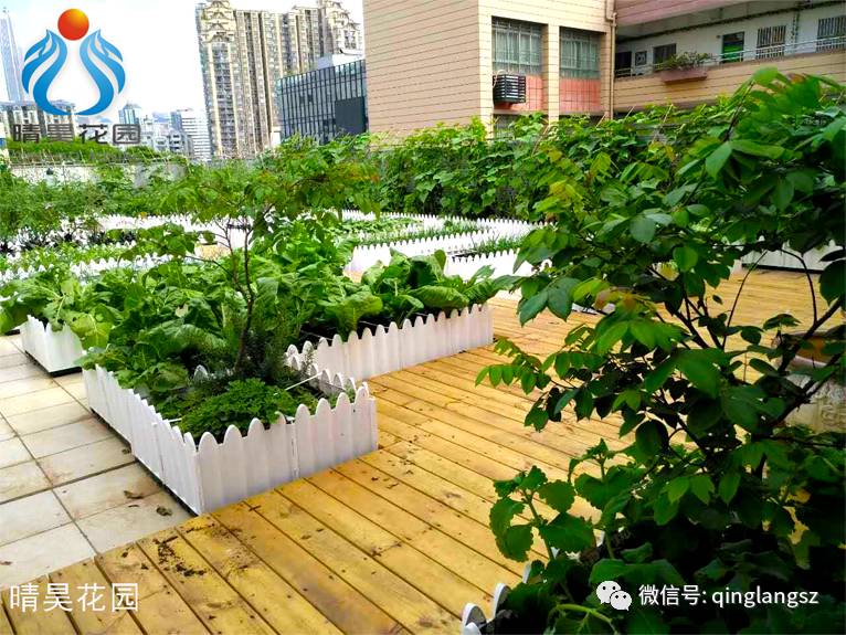 我的院子校园空中农场学生变身都市农夫