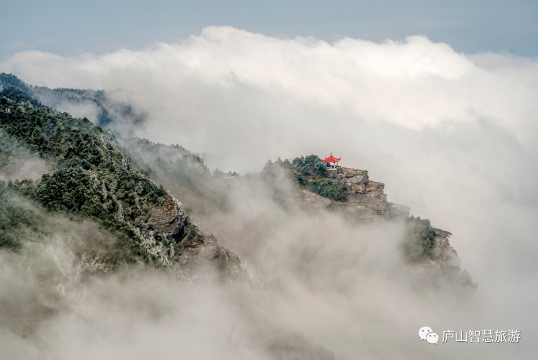 庐山风景区自媒体创作者优免政策及奖励办法