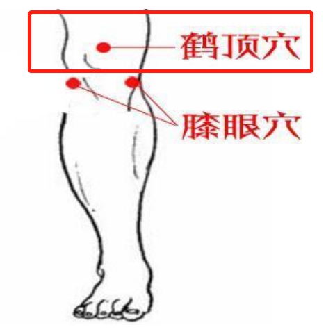 腿凉按摩哪个部位图解图片