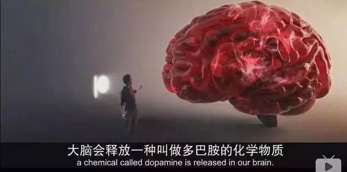 恐怖黑幕曝光！澳洲超市这些热销食品，吃多了容易上瘾，喂养癌细胞，竟增加早逝风险！（组图） - 16