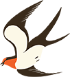 片