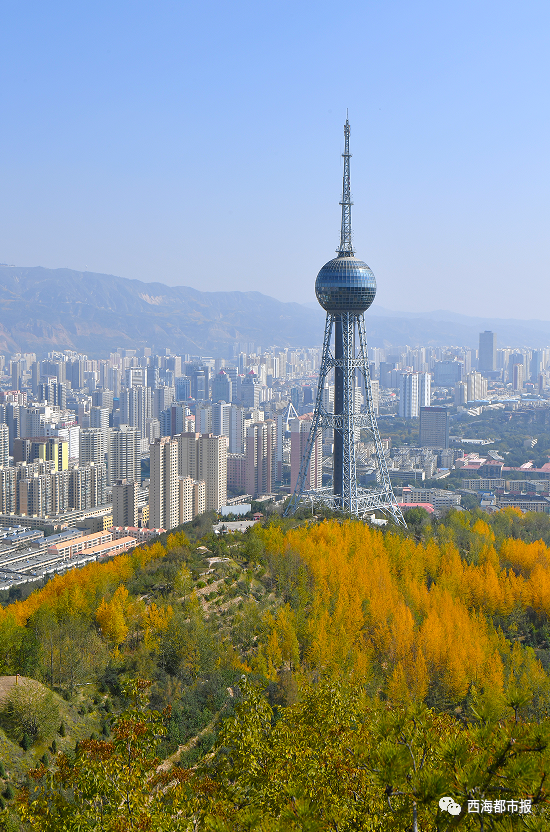 高楼的变迁,见证了西宁市的不断