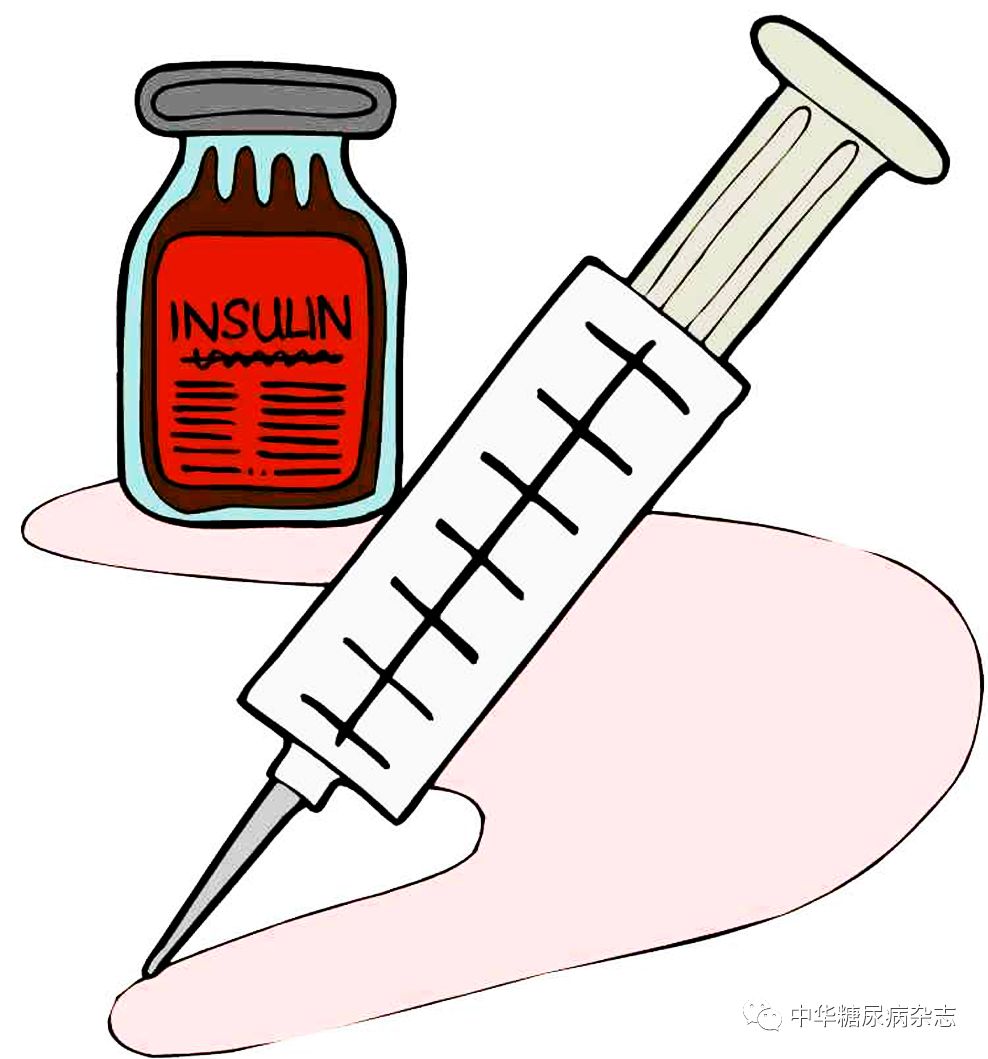 怎么使实验小鼠升血压【论著】棕色脂肪源性神经调节蛋白4对糖尿病肾病小鼠炎症保护作用的研究_https://www.jmylbn.com_新闻资讯_第1张