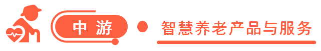 2025年中国智慧养老产业链图谱研究分析