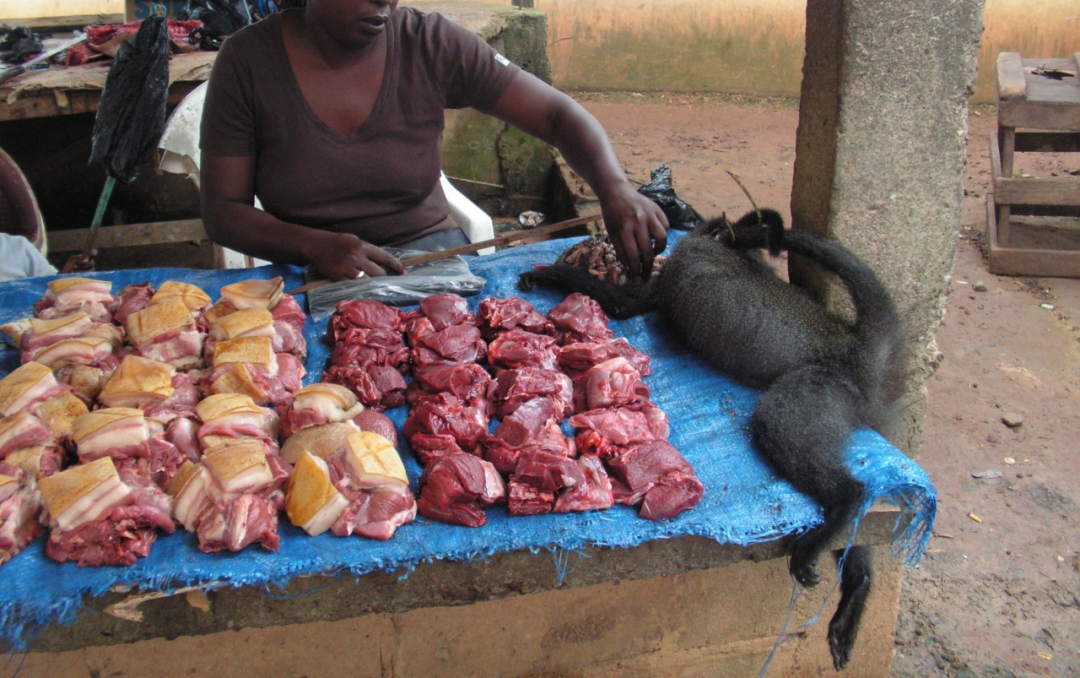 我去了趟非洲菜市场，发现除了人肉啥都卖
