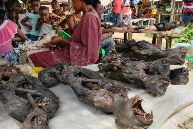 我去了趟非洲菜市场，发现除了人肉啥都卖
