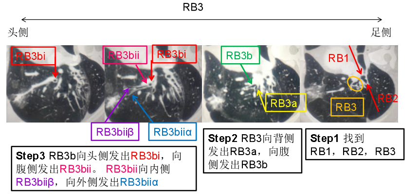 图片镜像翻转在线_镜像翻转软件_图片镜像翻转在线