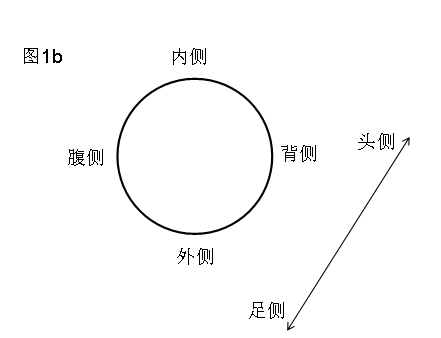 图片镜像翻转在线_图片镜像翻转在线_镜像翻转软件