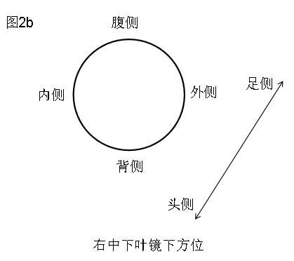 图片镜像翻转在线_镜像翻转软件_图片镜像翻转在线