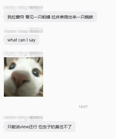 万豪新品牌户外小木屋实测：树林虫多怕虫慎选，凉爽季节更合适