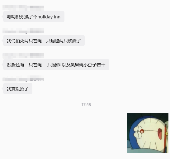 万豪新品牌户外小木屋实测：树林虫多怕虫慎选，凉爽季节更合适