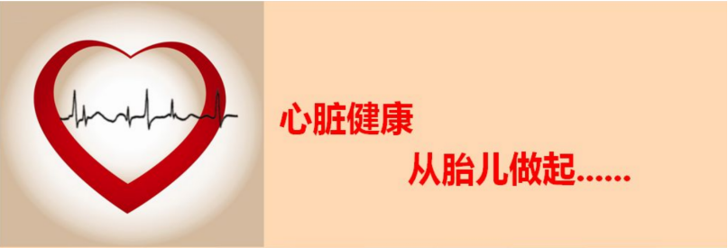 胎儿超声心电图是什么商医话健康 ｜ 心脏健康  从胎儿做起_https://www.jmylbn.com_新闻资讯_第10张