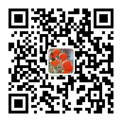 扫码添加AD家园管家助手